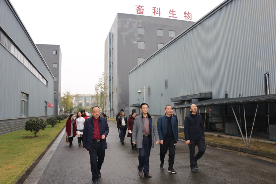 news02.jpg news02.jpg