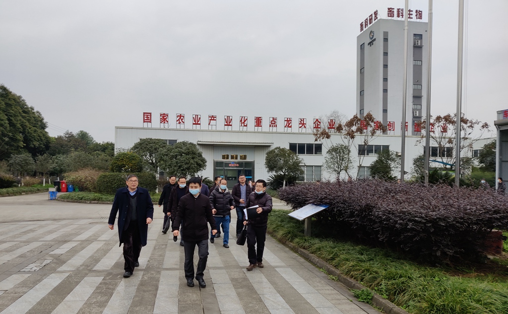 news03.jpg news03.jpg