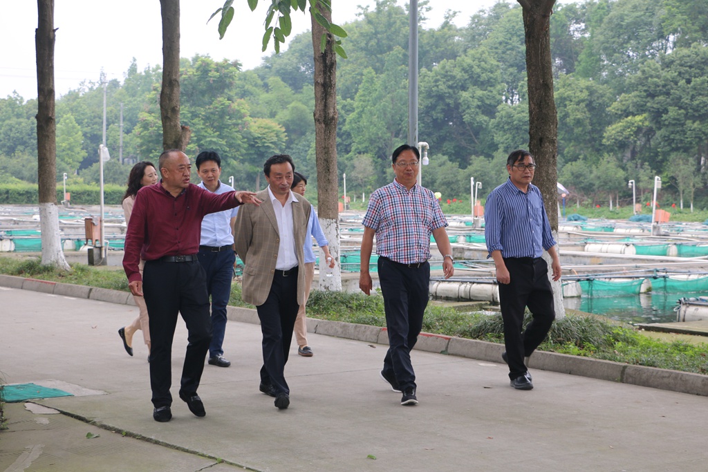 news03.jpg news03.jpg